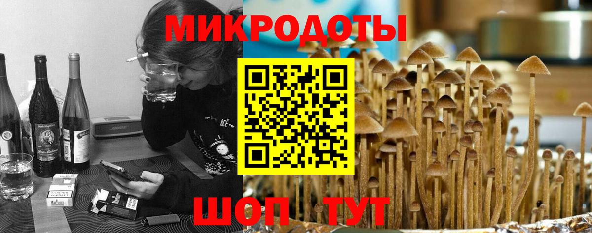 Псилоцибиновые грибы Cubensis  где можно купить   Артём  Вход с VPN 
