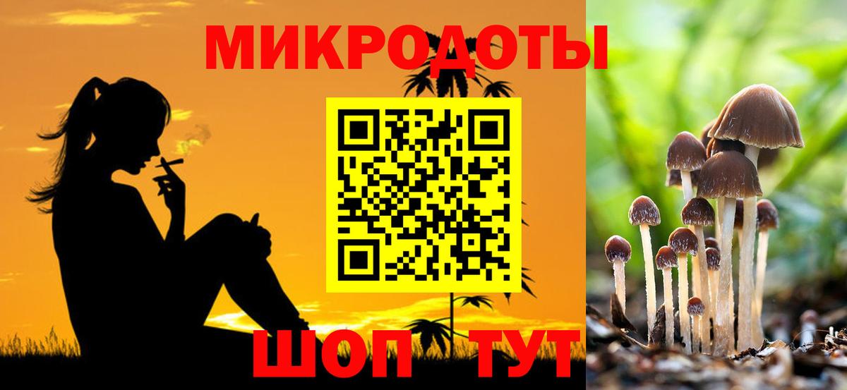 как найти закладки  Артём  Галлюциногенные грибы Psilocybe 